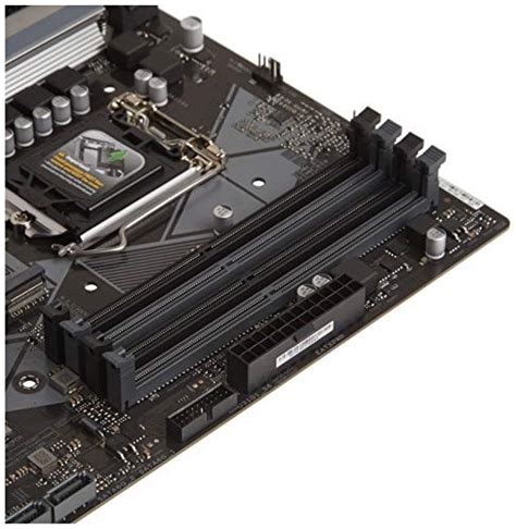 Compatible processors with Asus Prime B365M.